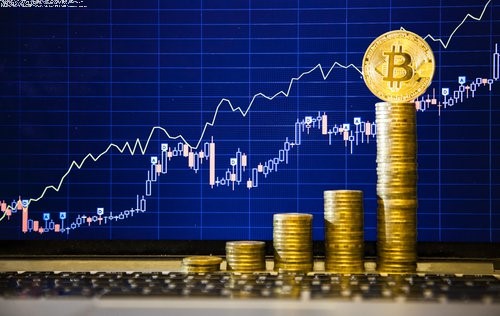 wallet info
